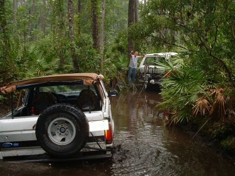 1995 Ford Bronco - Two white SUVs navigate a muddy, wooded trail, with one appearing to be stuck in the water.