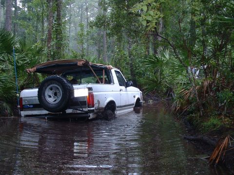 1995 Ford Bronco - White Ford Bronco navigates a water-filled path in a dense forest environment.