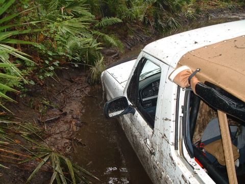 1995 Ford Bronco - This vehicle appears to be stuck in a muddy, overgrown area, possibly a swamp or trail.