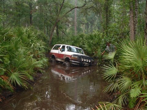 1995 Ford Bronco - A two-tone Ford Bronco navigates a water-filled trail surrounded by dense foliage.