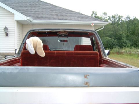 1987 Ford Bronco - Rear interior view of a 1987 Ford Bronco with red velour seats and a plush toy.