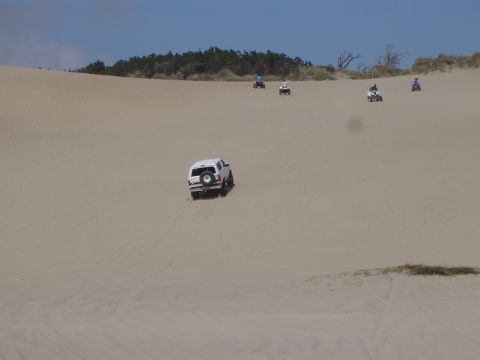 1989 Ford Bronco - Alvie chasing some quads