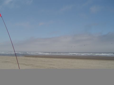 1989 Ford Bronco - A beach scene with a red flag, ocean waves, and birds flying in the sky under a hazy blue sky.