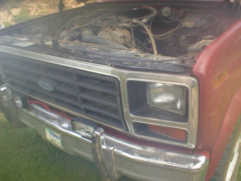 1986 Ford Bronco - Front view of a red Ford truck with its hood open, revealing the engine compartment.