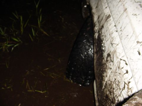 1989 Ford Bronco - A vehicle's tire and fender are covered in mud while partially submerged in murky water with grass.