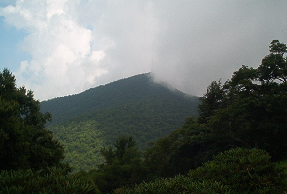 Mountain landscape with trees and clouds obscuring the peak