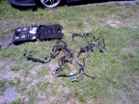 1996 Ford Probe photo