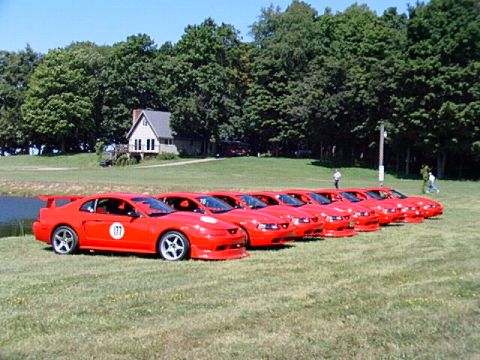 2000 Ford Mustang - Multiple red 2000 Ford Mustangs are lined up on a grassy field under a clear blue sky.