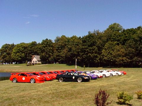 2000 Ford Mustang - Multiple Ford Mustangs are lined up on a grassy field with trees in the background.