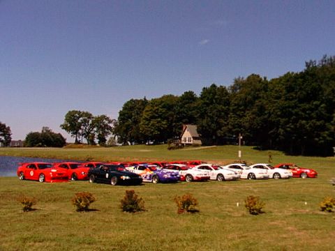2000 Ford Mustang - A collection of 2000 Ford Mustangs are parked in a row on a sunny day, with a lake and trees in the background.