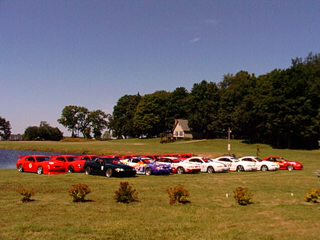 Row of a dozen red, black, blue and white Mustangs parked on grass beside a pond
