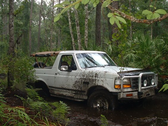 Muddy white doorless Ford Bronco with brush guard sitting in swamp water among palmettos