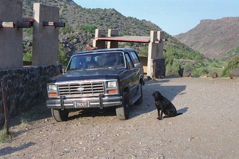 1984 Ford Bronco photo