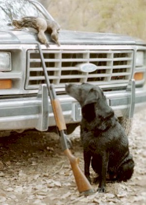 1984 Ford Bronco photo