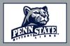 1995 Ford Bronco - The Penn State Nittany Lions logo features a cougar head and the team name.