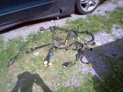 1996 Ford Probe photo