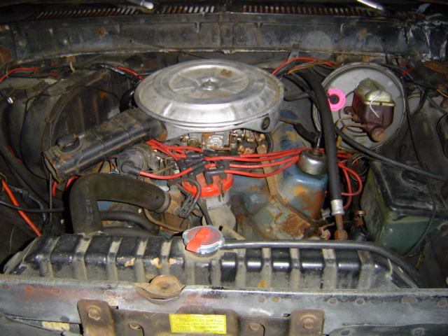 1979 Ford Bronco “Brusier”