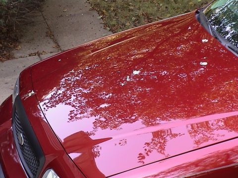2000 Ford Crown Victoria - July 29, 2004 - 03