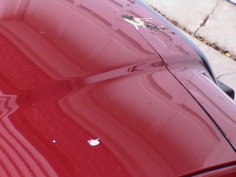 2000 Ford Crown Victoria - July 29, 2004 - 06