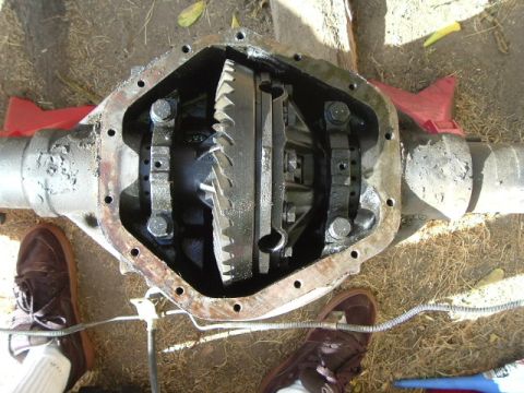 1989 Ford Bronco - Close-up of an open differential housing, showing the ring gear and spider gears within.