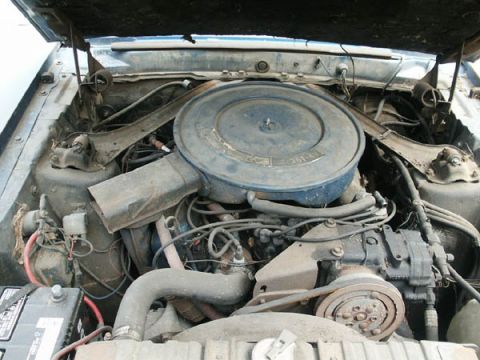 1969 Mercury Cougar photo