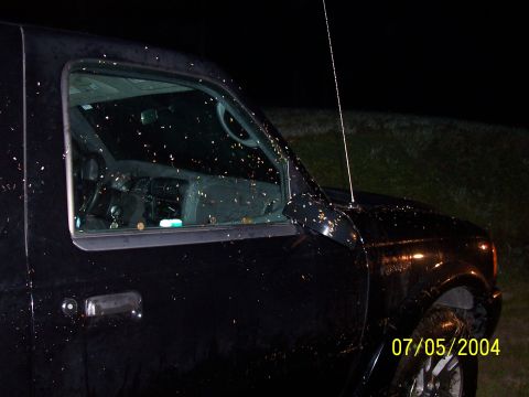 1994 Ford Bronco - A black pickup truck is covered in insects at night, with its interior visible through the driver's side window.