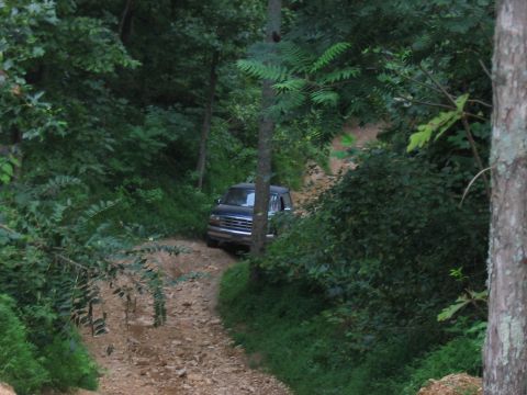 1988 Ford Bronco - A dark blue 1992 Ford Bronco navigates a winding dirt path through a dense forest.