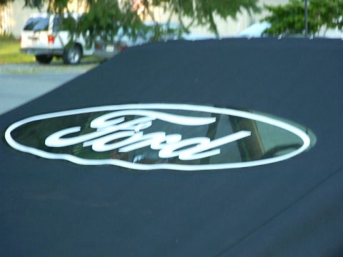 1990 Ford Bronco - Close-up of a black vinyl soft top stretched over a truck's rear window opening, screen-printed with a large white outlined Ford oval logo.…
