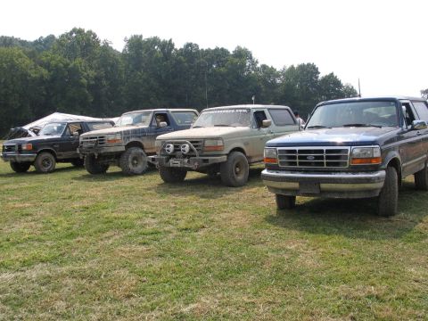 1995 Ford Bronco - Multiple Ford Broncos are parked on a grassy area with trees in the background.