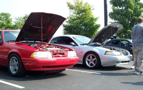 1998 Ford Crown Victoria - Two Ford Mustangs are parked side-by-side with their hoods open, displaying their engines.