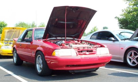 1998 Ford Crown Victoria - A red Ford Mustang is parked with its hood open, alongside other vehicles at an outdoor meet.