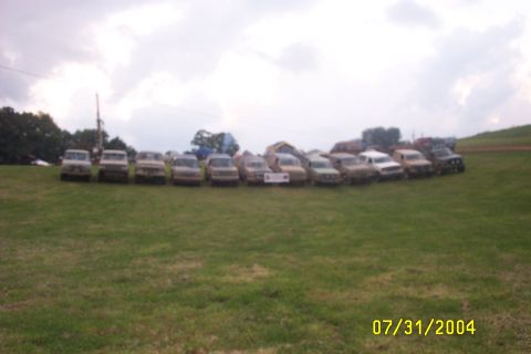 1979 Ford F-150 - A group of trucks are lined up on a grassy field, with a cloudy sky overhead.