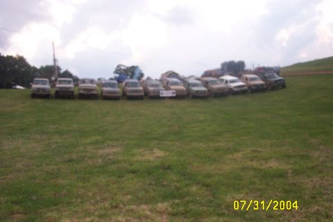 1979 Ford F-150 - A row of pickup trucks are parked on a grassy hill under a cloudy sky.