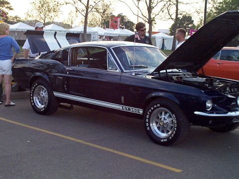 1999 Ford Taurus - Shelby GT350