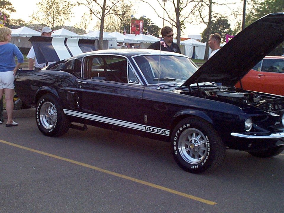Dark blue Shelby GT350 Mustang fastback with white stripes, hood open at car show