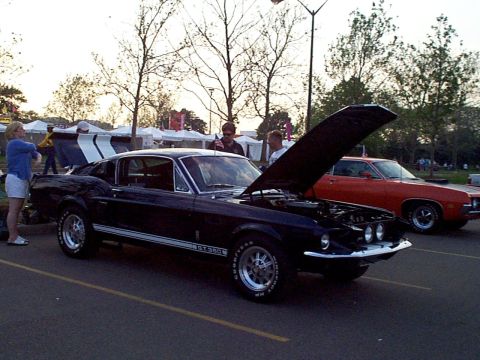 1999 Ford Taurus - Shelby GT350