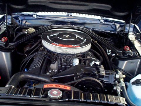 1999 Ford Taurus - Shelby GT350 289 HIPO V8