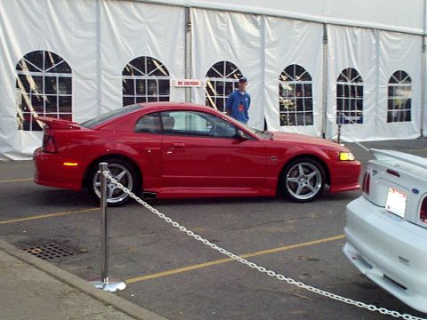 1999 Ford Taurus - Roush Mustang
