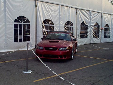 1999 Ford Taurus - Roush Mustang
