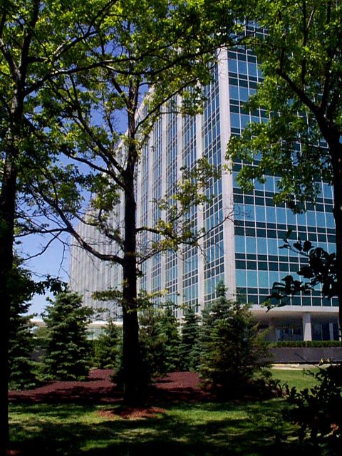 1999 Ford Taurus - A modern office building is framed by lush green trees on a sunny day.