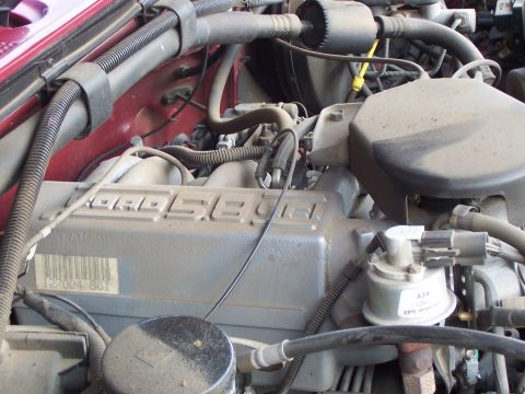 1991 Ford Bronco - Engine bay detail with visible 'FORD 5.0' lettering on the valve cover.