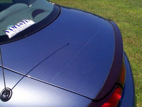 1999 Ford Taurus - Rear view of a 1999 Ford Taurus SE, showing the decklid, spoiler, and a sticker on the rear window.