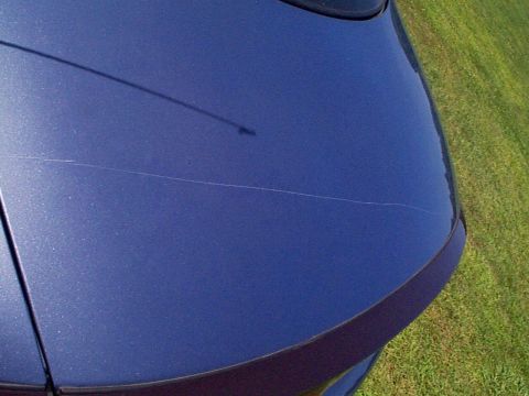 1999 Ford Taurus - Close-up of the hood of a blue 1999 Ford Taurus, showing a prominent scratch.
