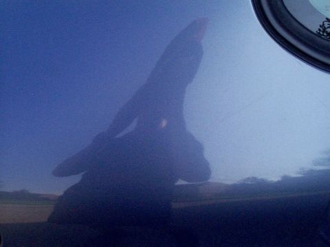 1999 Ford Taurus - Reflection of a person is visible on the blue painted door of a car, with a partial view of the side mirror at the top right.