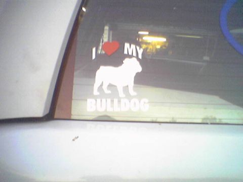 1993 Ford Bronco - A white sticker of a bulldog with the text 'I LOVE MY BULLDOG' is visible on the rear window of a vehicle.