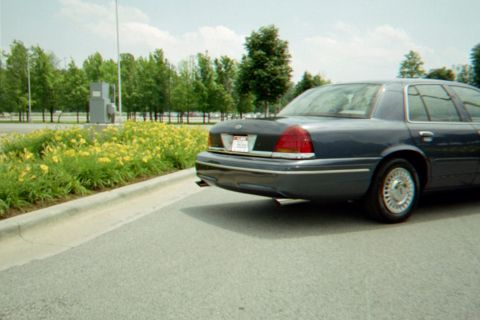 1998 Ford Crown Victoria - A dark blue sedan is parked on the side of the road, with a backdrop of trees and yellow flowers.