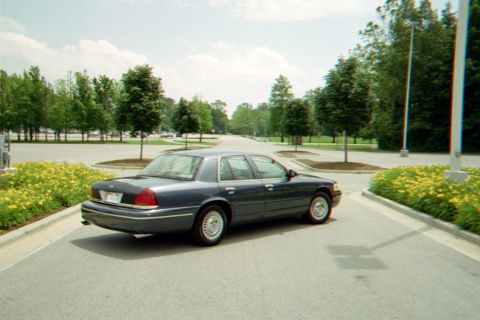 1998 Ford Crown Victoria - A 1998 Ford Crown Victoria is parked on a street with trees and yellow flowers lining the sides.