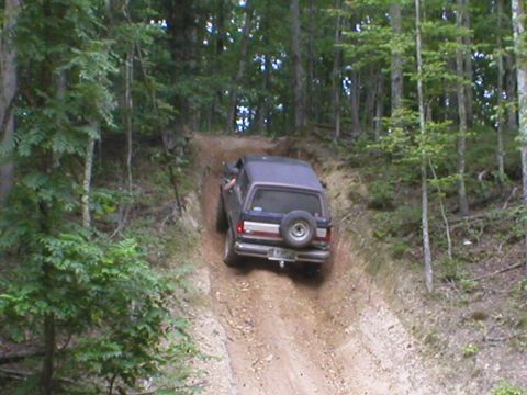 1986 Ford Bronco - He didn't make it.