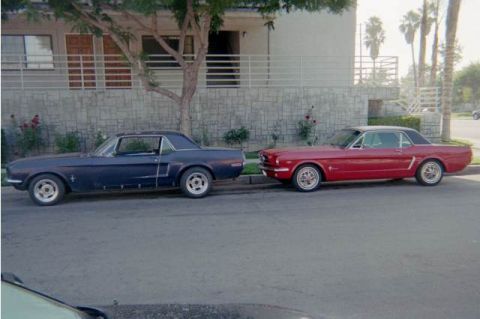 1968 Ford Mustang - My '68 With A neigbors '65