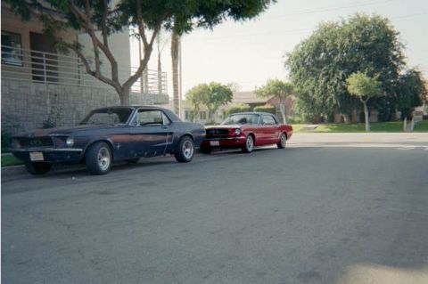 1968 Ford Mustang - Two classic Ford Mustangs, a 1967 model and a 1965 model, are parked on a residential street.